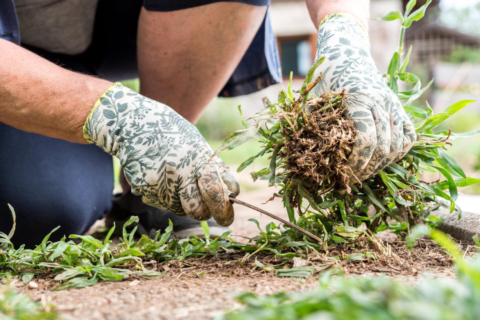 Weeding & Spraying