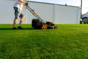 Lawn Mowing Service Tauranga