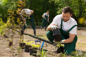 seasonal garden work services in Tauranga