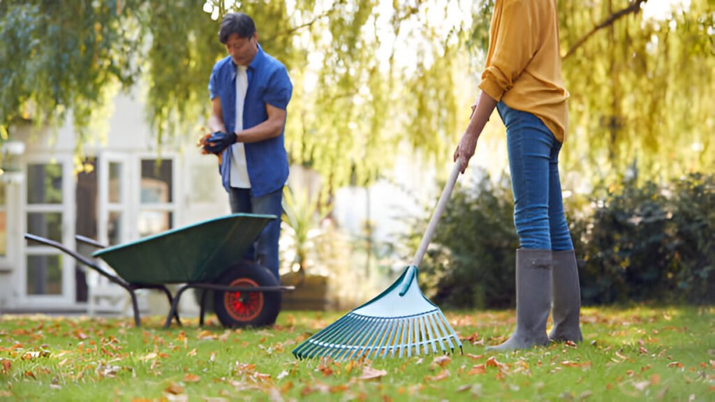 Rental Property Clean-Ups Services in Tauranga