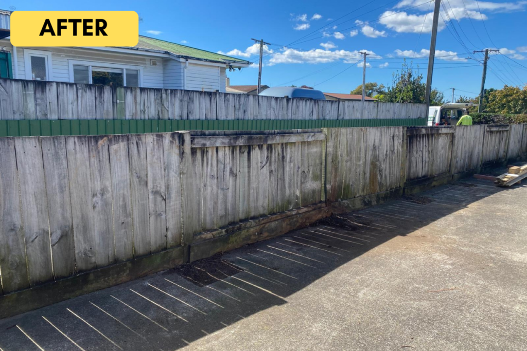 Yucca plant Removal 002