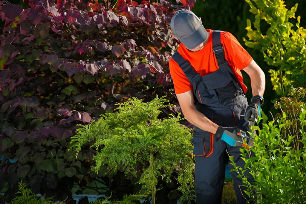 Expert Garden Maintenance Tauranga