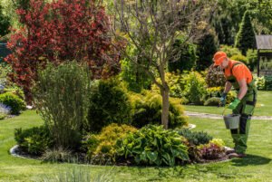Reliable Gardening Services Tauranga