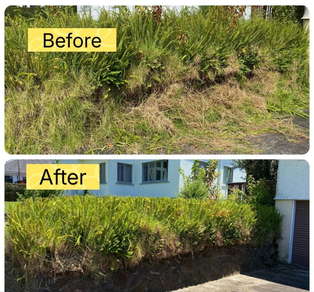 photo 2025 07 28 14 16 46