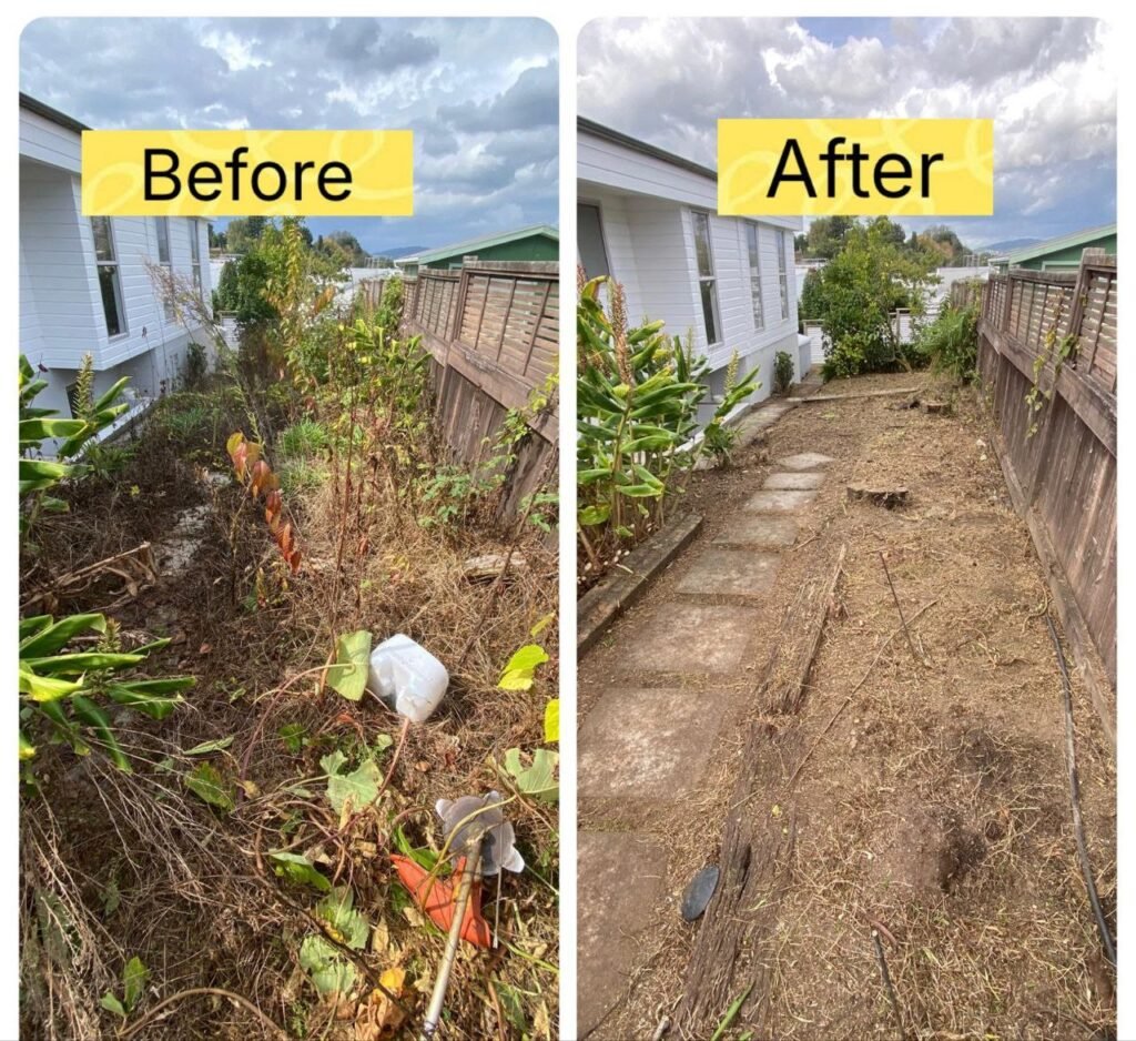 photo 2025 07 28 14 23 36