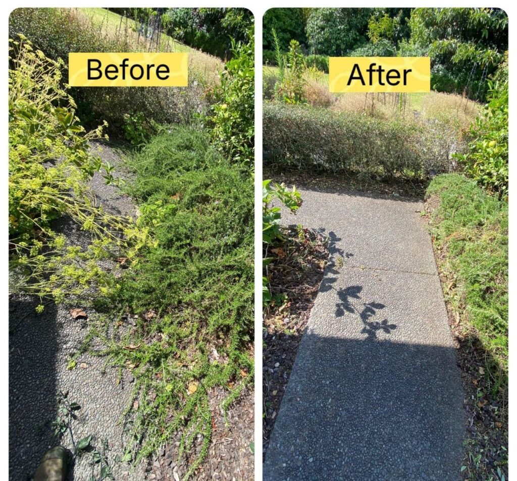 photo 2025 07 28 14 24 27