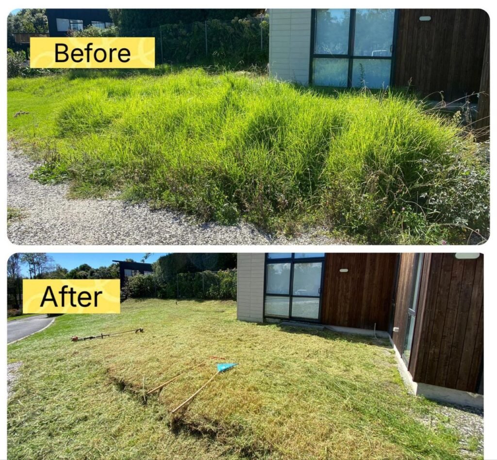 photo 2025 07 28 14 58 53