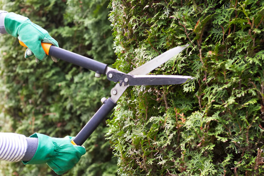 local gardener services Tauranga