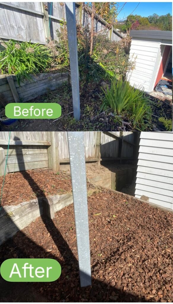 WhatsApp Image 2025 09 25 at 13.40.16 90eb215d