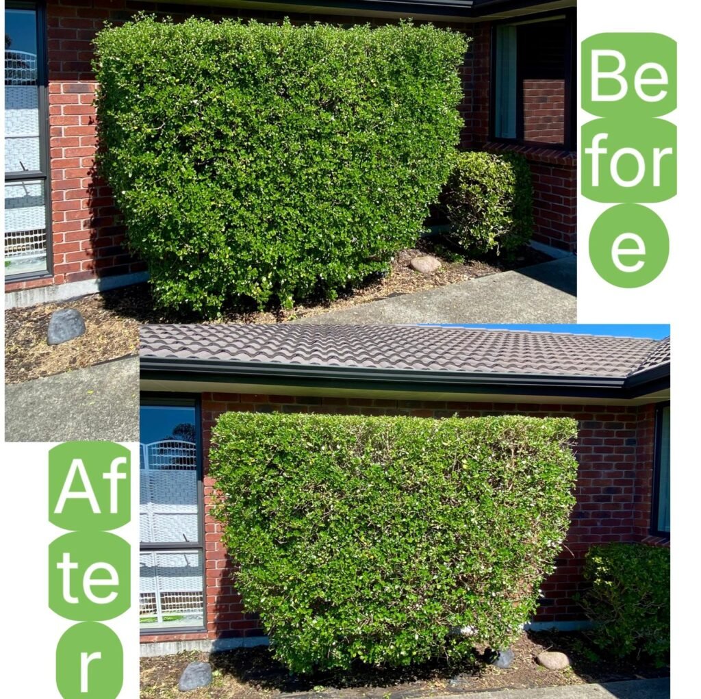 WhatsApp Image 2025 09 25 at 13.40.39 4d36a77e