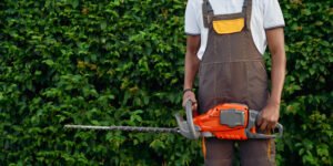 Best Hedge Trimming Company in Tauranga