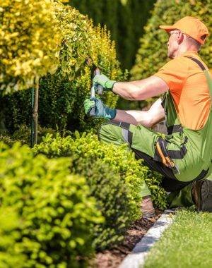 Gardening Service SK Mowing 03