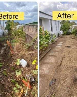 photo_2025-07-28_14-23-36