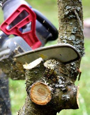 steptodown.com932971